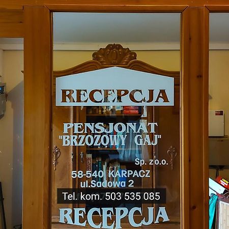 Brzozowy Gaj - Pensjonat Карпач Екстериор снимка